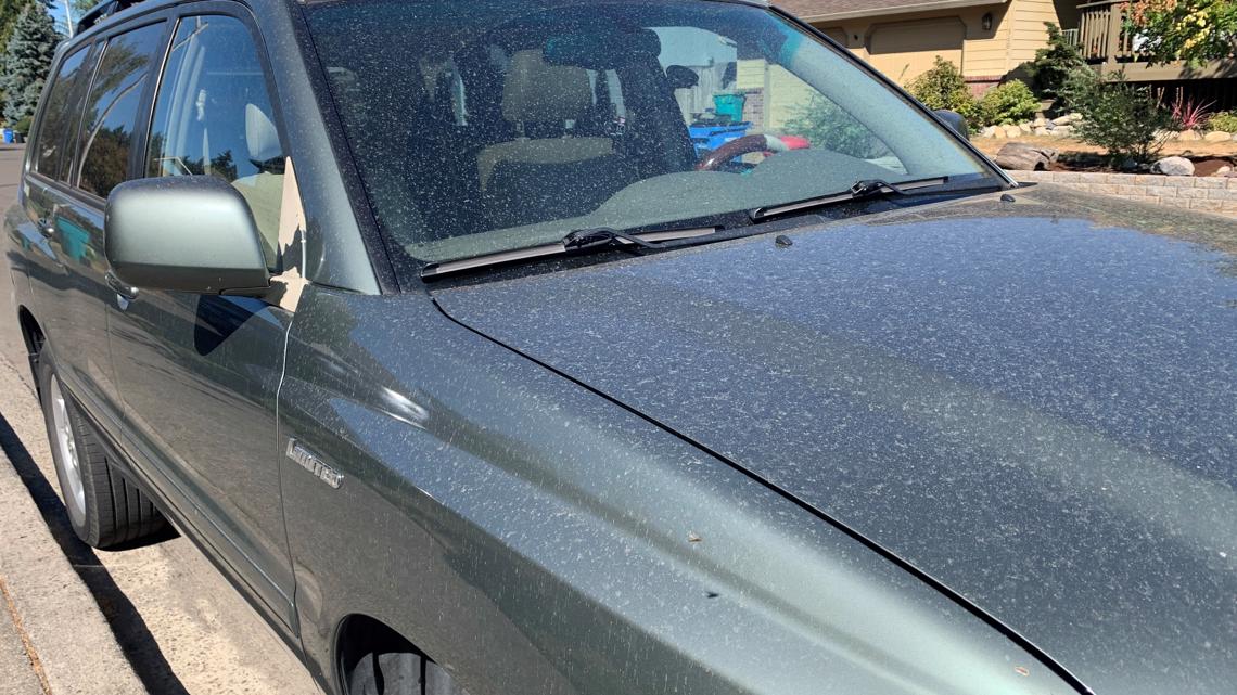 How To Remove Wildfire Ash From Your Car's Exterior