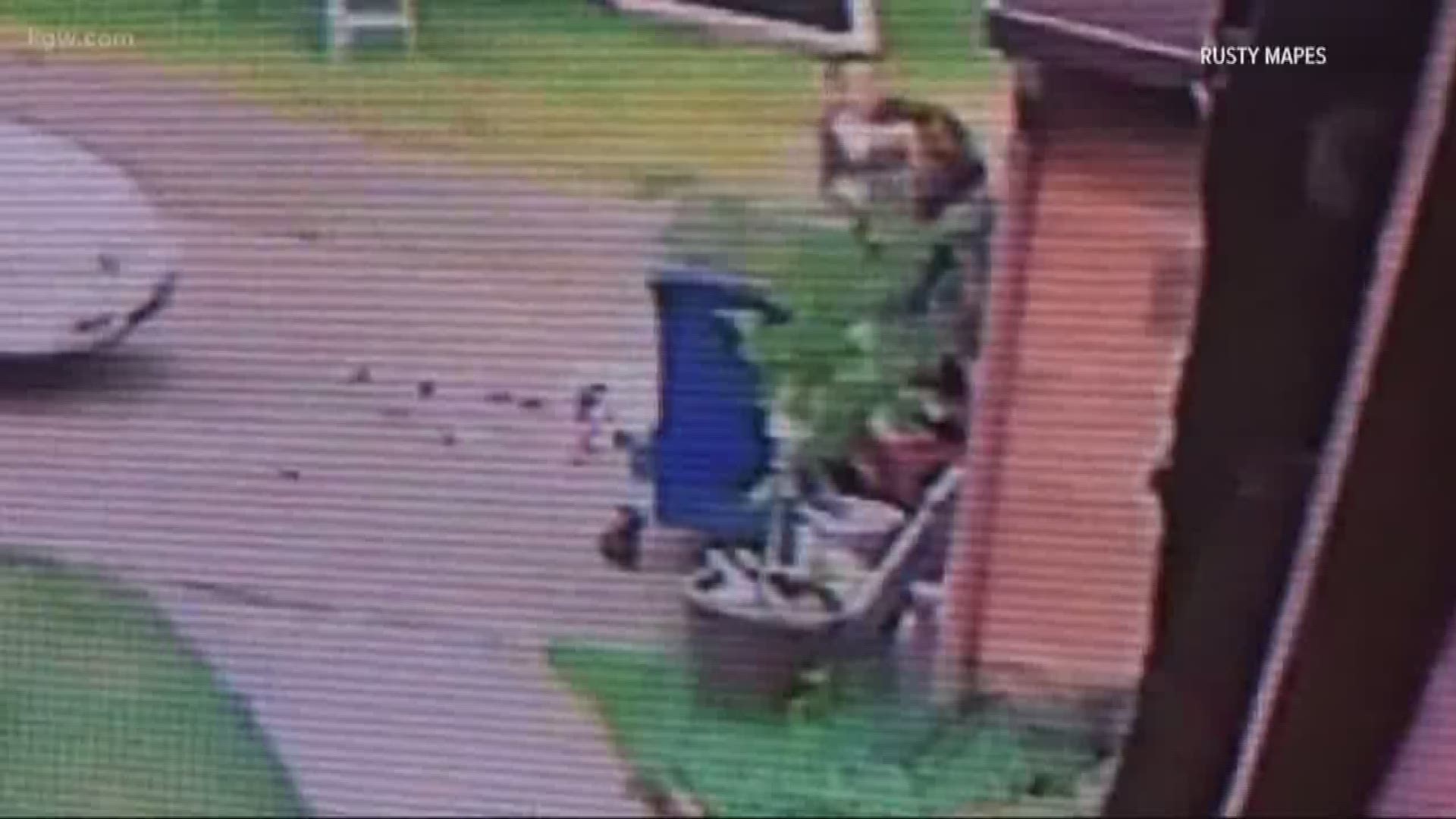 Home surveillance video captured the violent confrontation between the suspect, later identified as James M. Kelly, and the deputy moments before the shooting.
