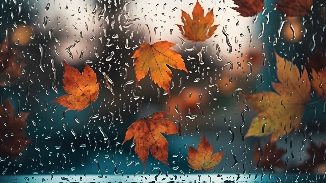 Autumn Rain Facebook Cover