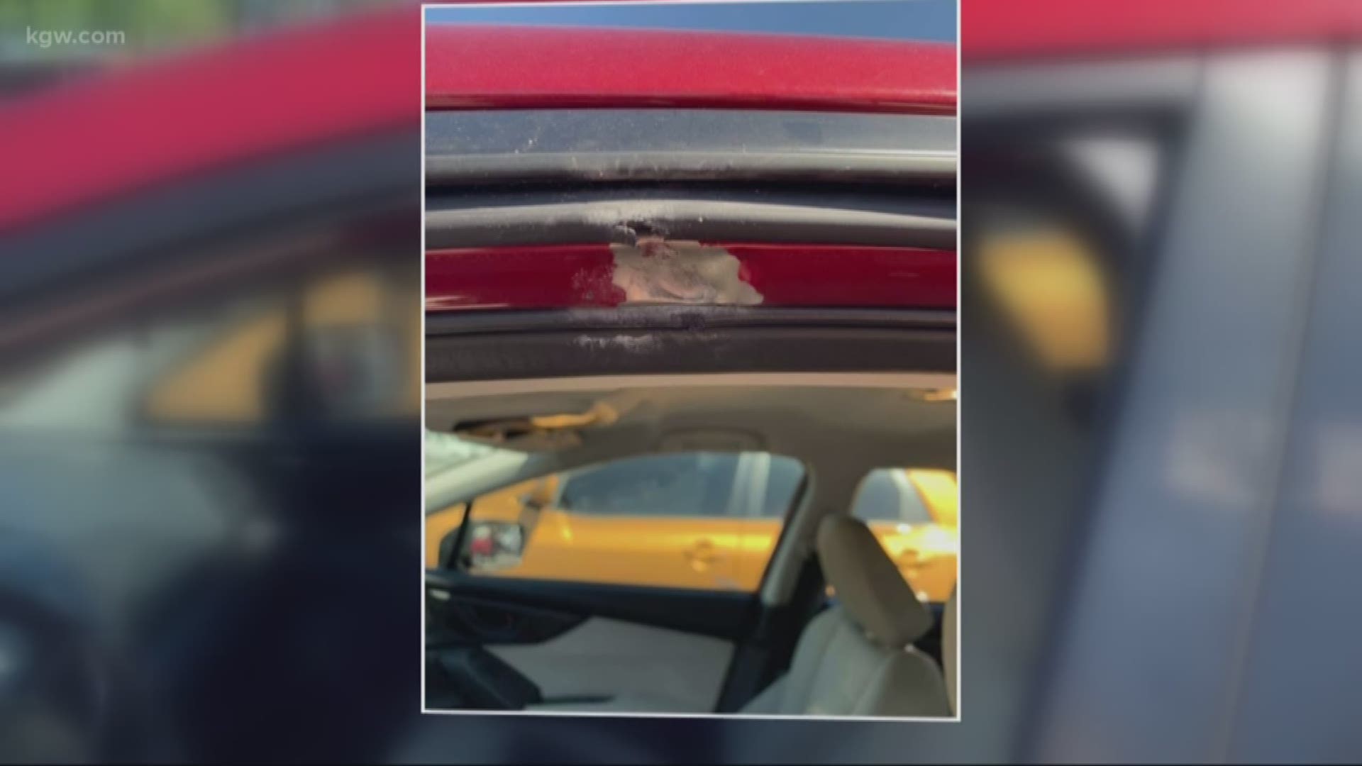 Woman injured after bullet shatters car window on SR-14 in Vancouver ...