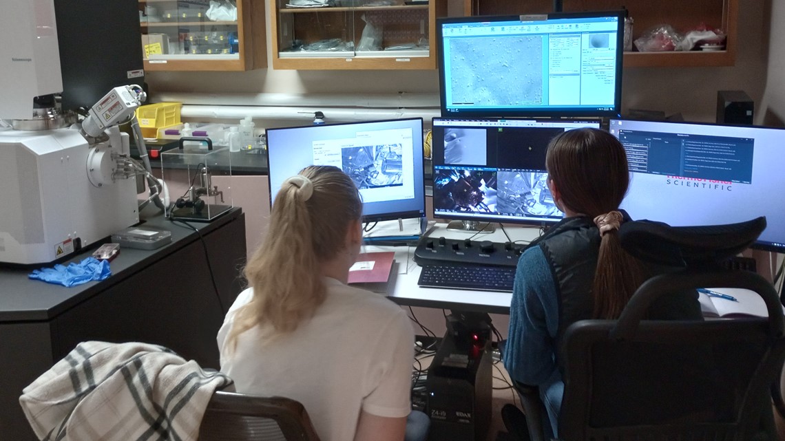 WSU study finds plants can sense when they're being touched - Vimarsana News