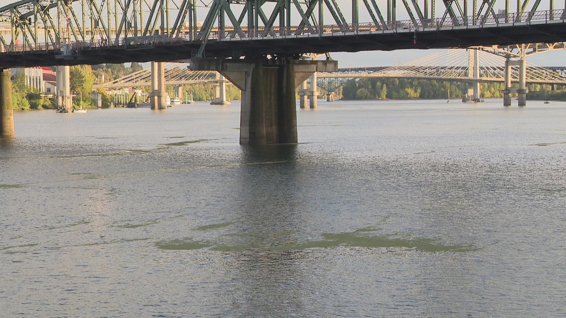 Willamette River Algae | IFish Fishing Forum