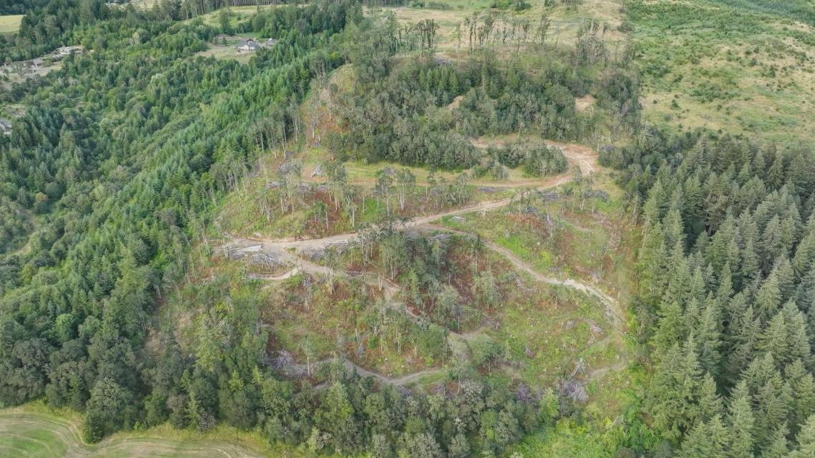 Couple buys land in bid to make Oregon wine biz bubble - Vimarsana News
