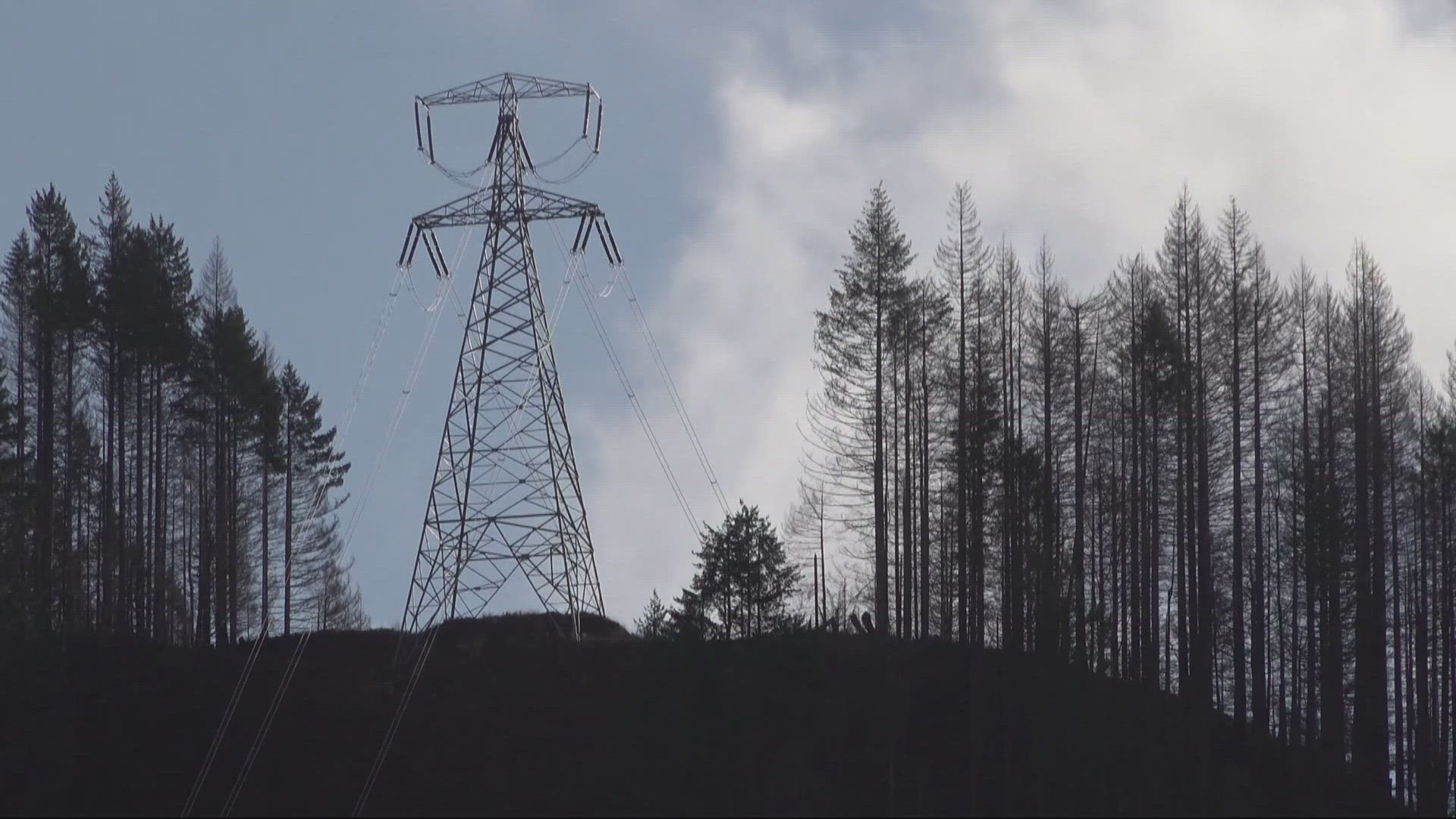 PGE filed a request to raise rates by another 7.4% in 2025 to the Oregon Public Utility Commission.