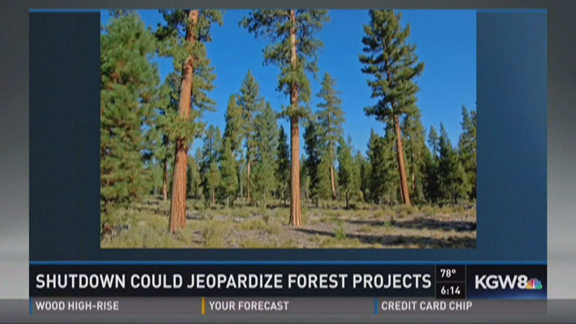 Forestry officials work to preserve Oregon natural areas