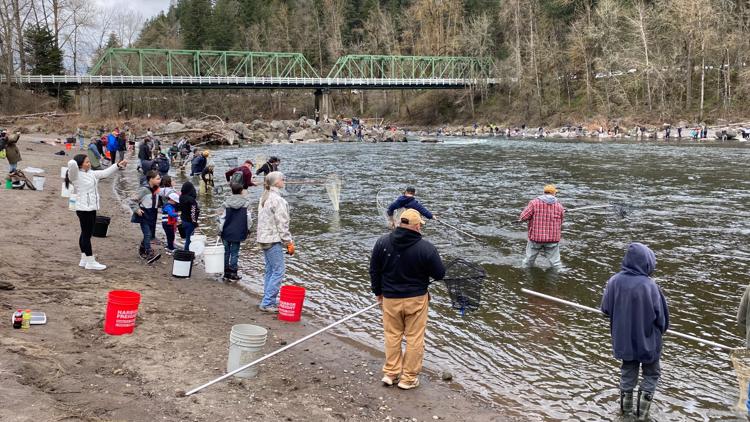 Crowds jam Sandy River for rare, one-day smelt fishing opportunity