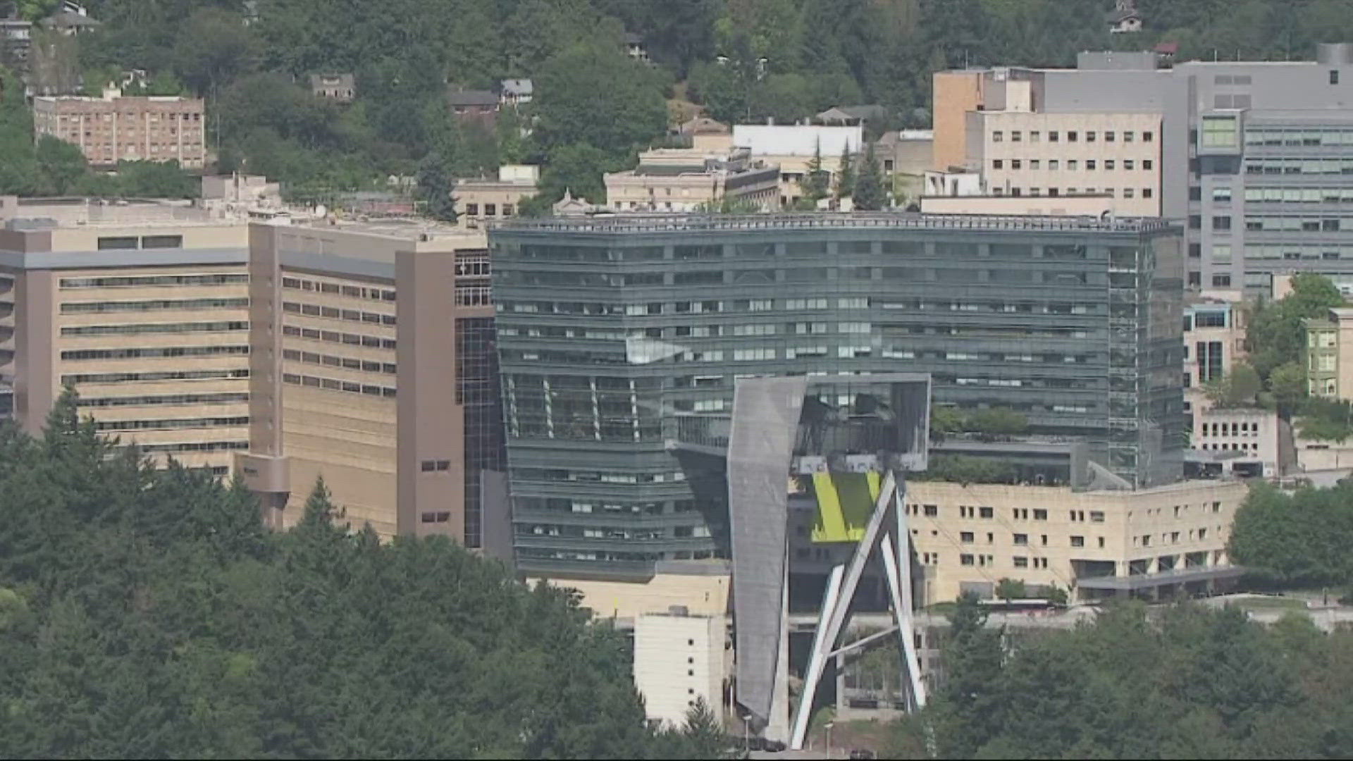 OHSU notified 142 workers that their positions will be eliminated in late summer in the first round of layoffs. This is part of the 500 anticipated layoffs.