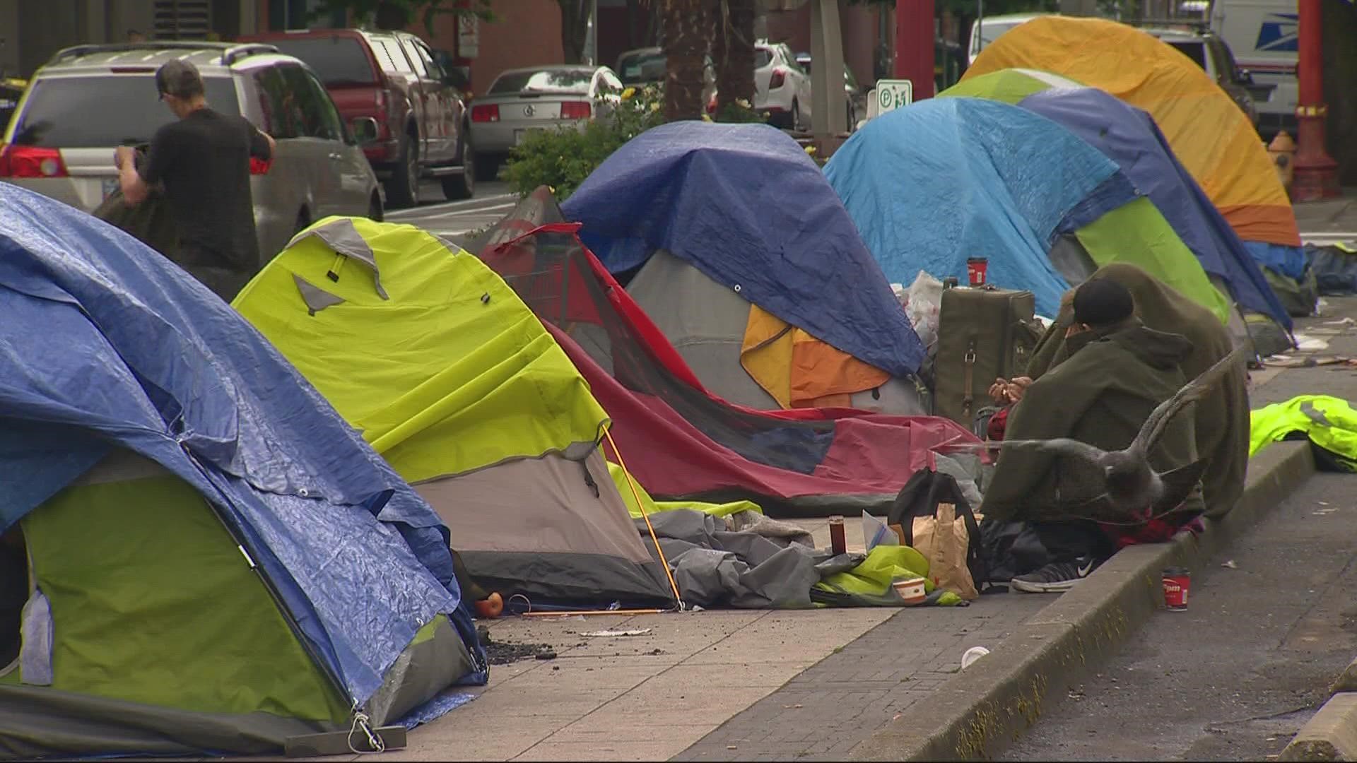 The plan includes a ban on unsanctioned camping, but funds would be for the building of six designated mass camps in Portland.