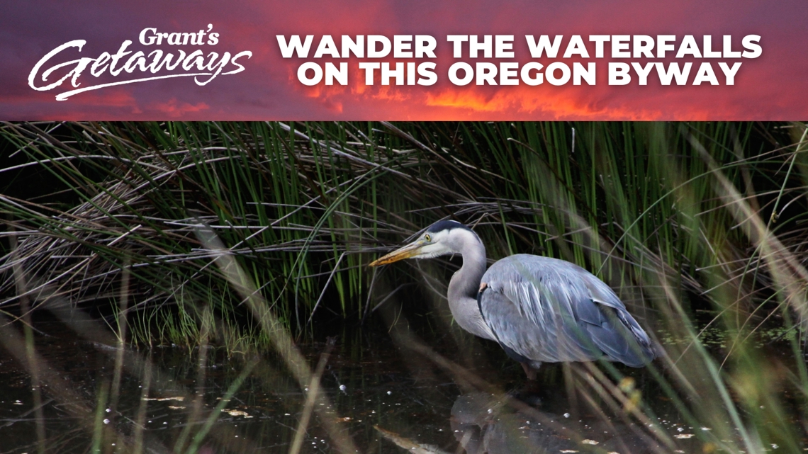 Wander with the waterfalls and the wildlife along this Oregon backroad byway