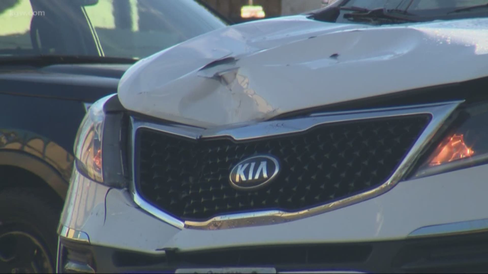 Driver hits, kills pedestrian in SE Portland