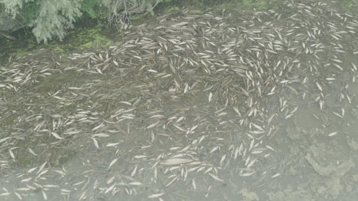 A wildfire indirectly killed thousands of fish near Oregon border