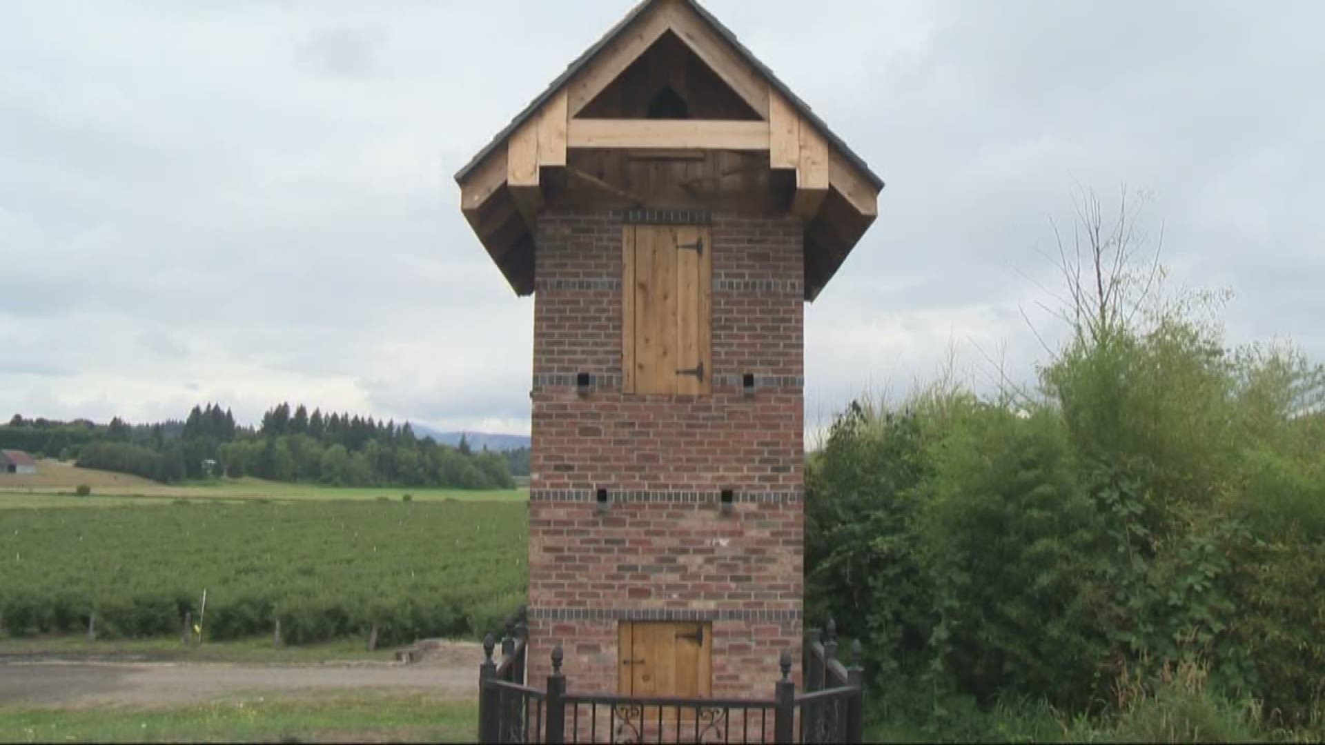 A special house for the birds. Take a look at this special structure.