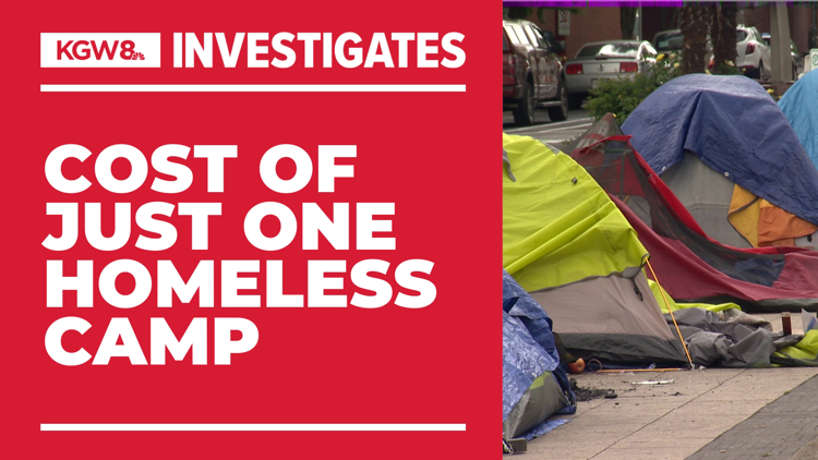 Impact of a single homeless camp: $18,347 in clean-up, one thousand complaints and endless conflict