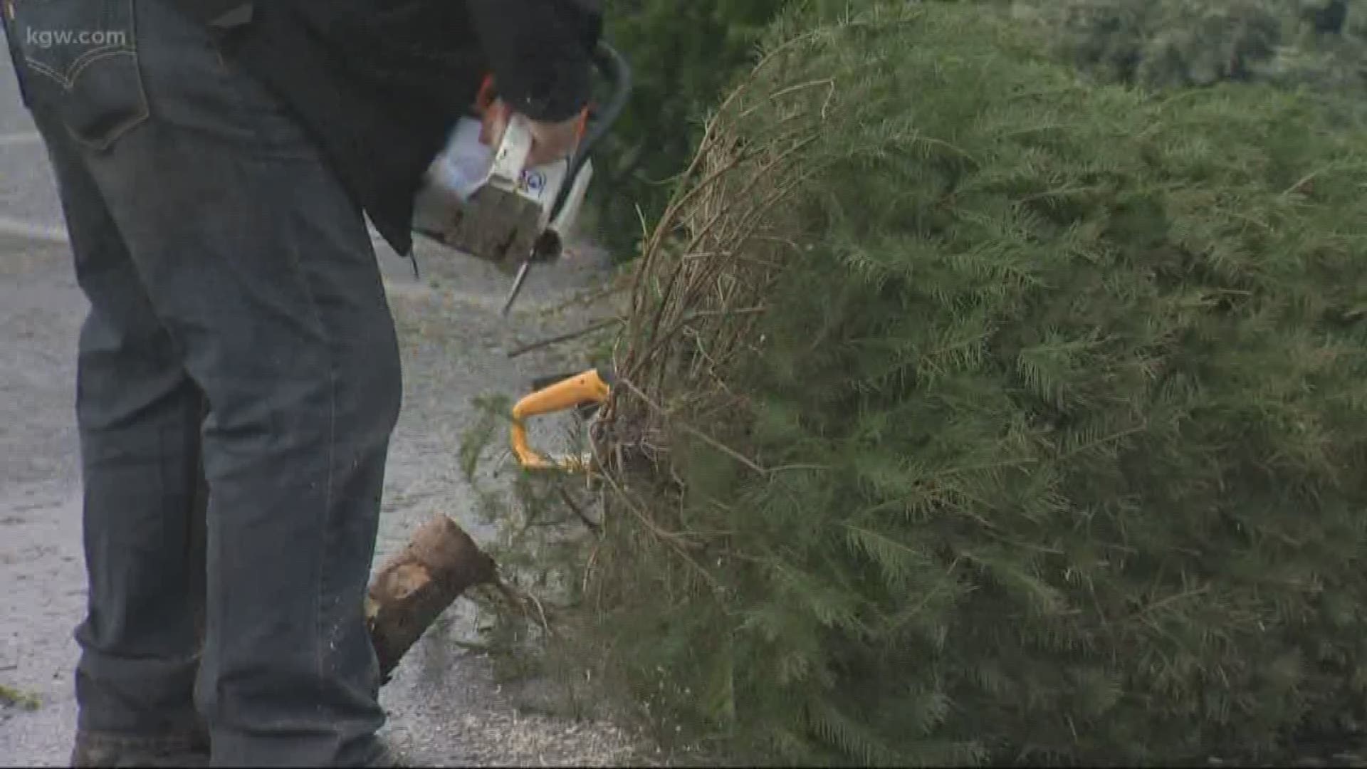 It’s time to recycle your Christmas tree! Here’s where it can be done in Portland and Vancouver.