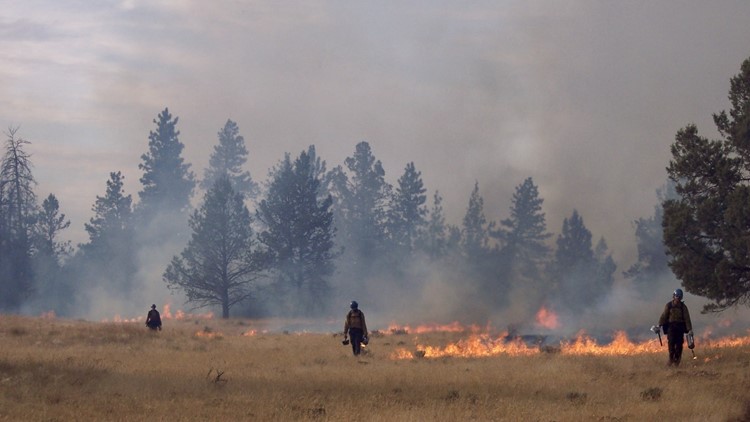 Timber company and nonprofit team up to support wildland firefighters at risk of suicide