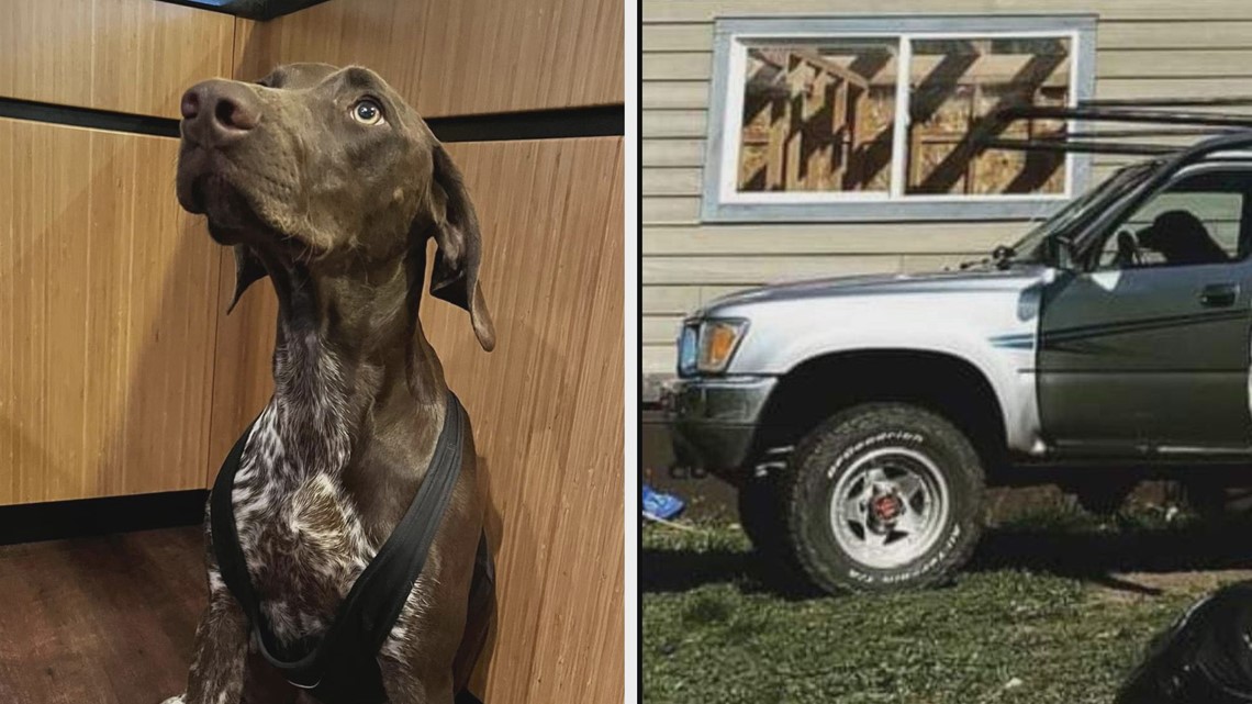 Pickup truck stolen with dog inside in The Dalles - Vimarsana News