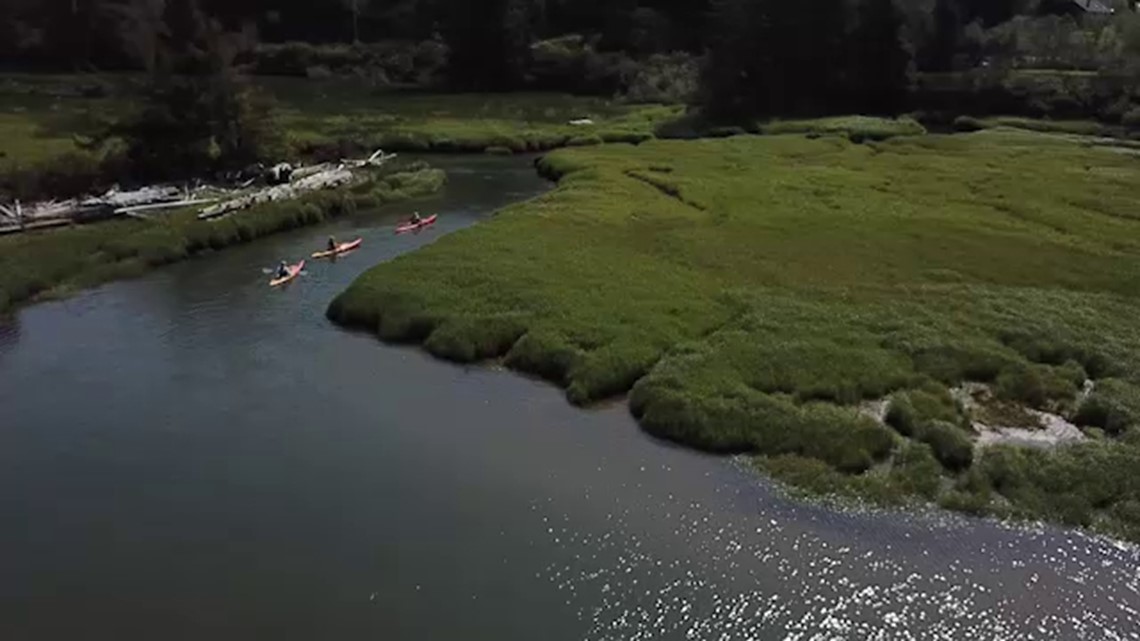 A summer paddle on the Oregon coast | Grant's Getaways