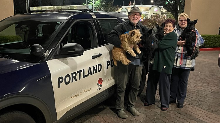 4 show dogs safe, reunited with owners after stolen van recovered