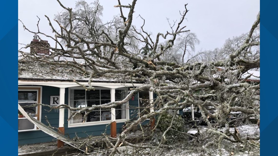 Tree falls on Gladstone couple's home; power knocked out for days - Vimarsana News