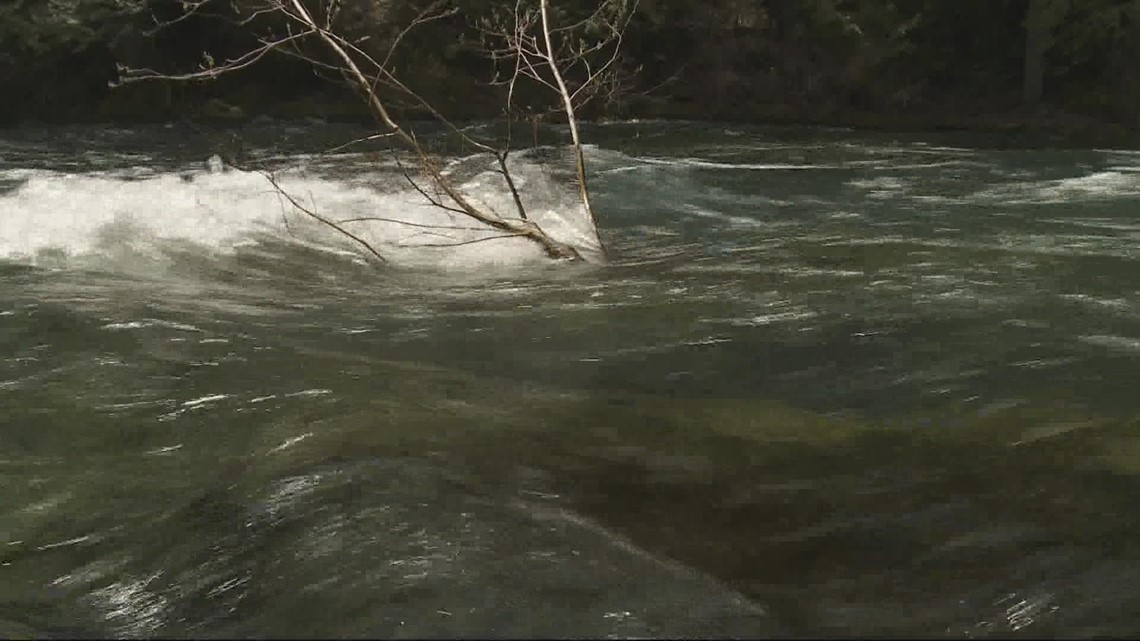 Microplastics found in Oregon's pristine waterways - Vimarsana News