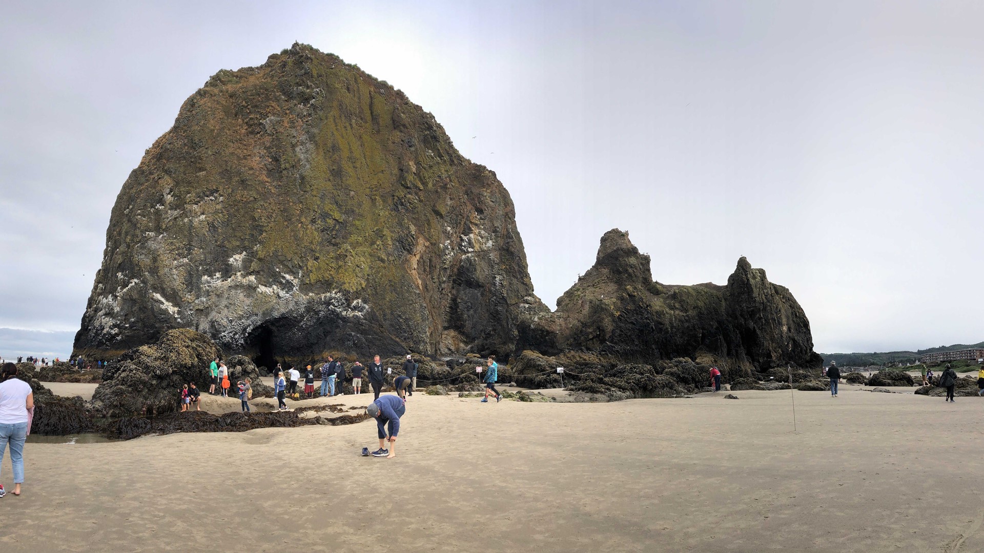 Low tide at Haystack Rock offers rare walking experience | kgw.com