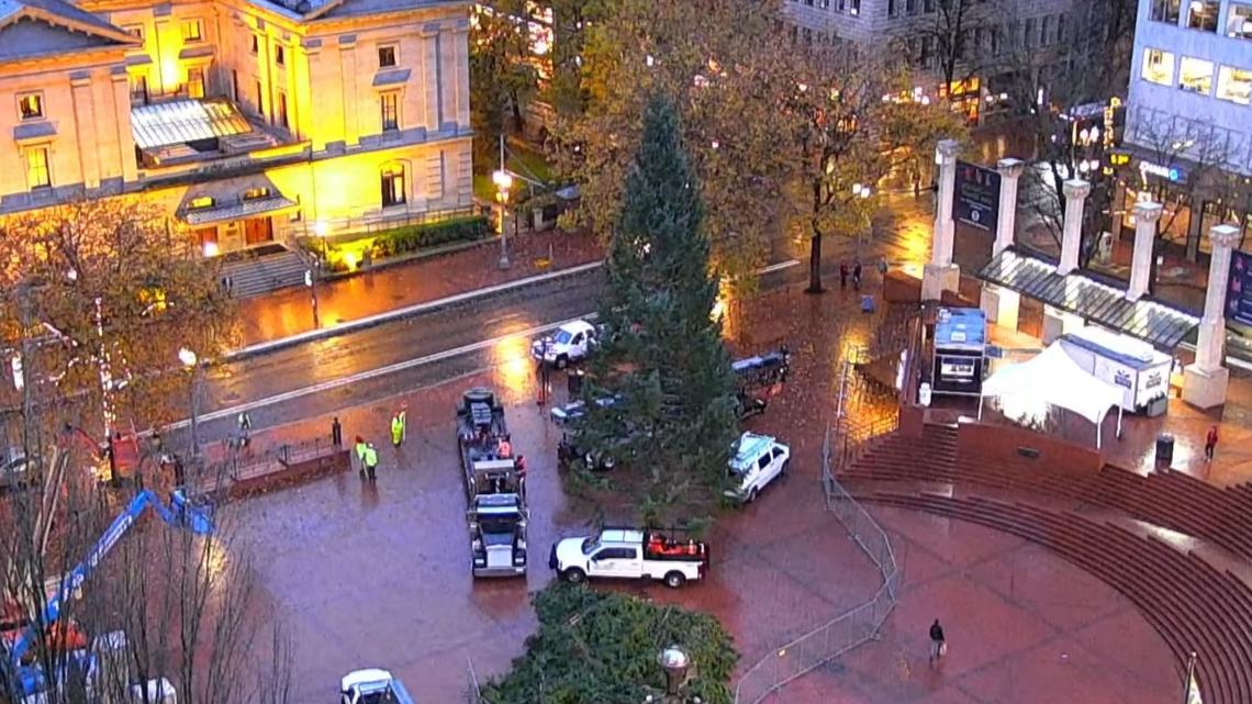 Portland Unveils Annual Christmas Tree