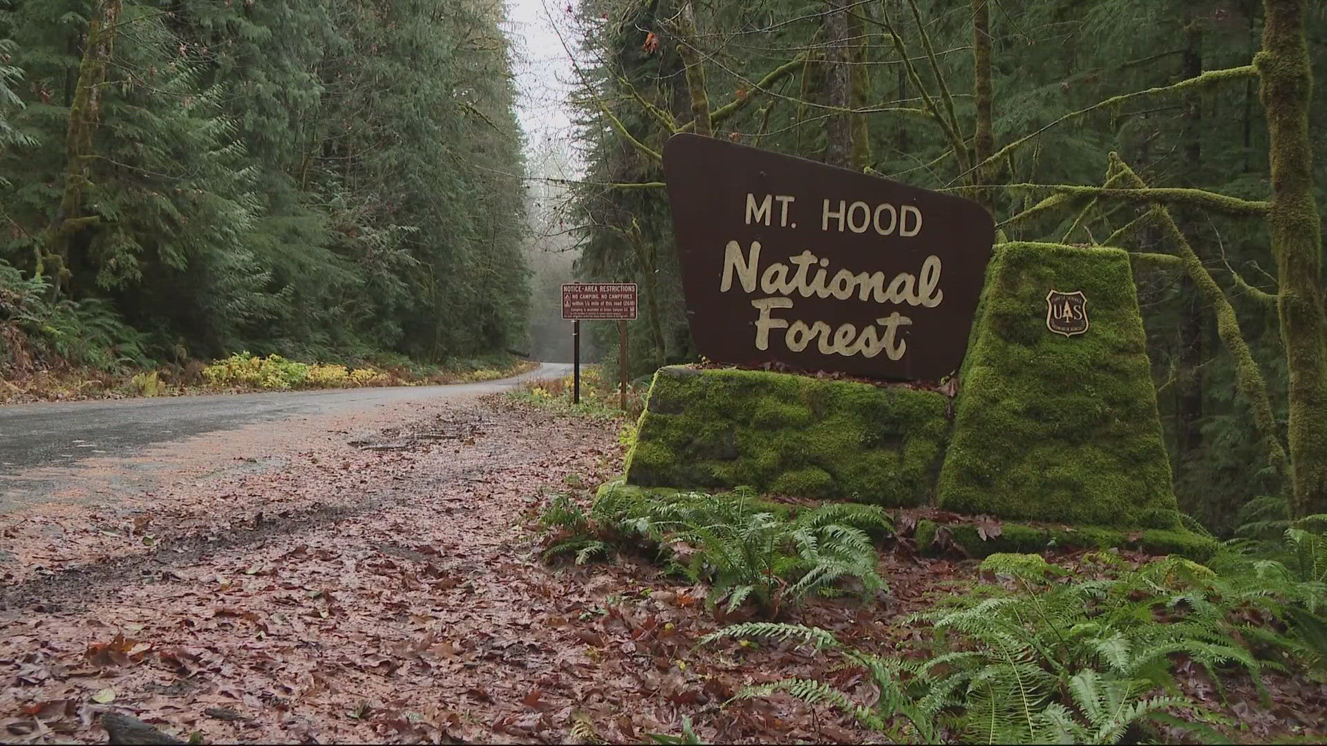 The search continues for a 61-year-old hiker and her two dogs who have been reportedly missing for four days after going hiking around Mount Hood.