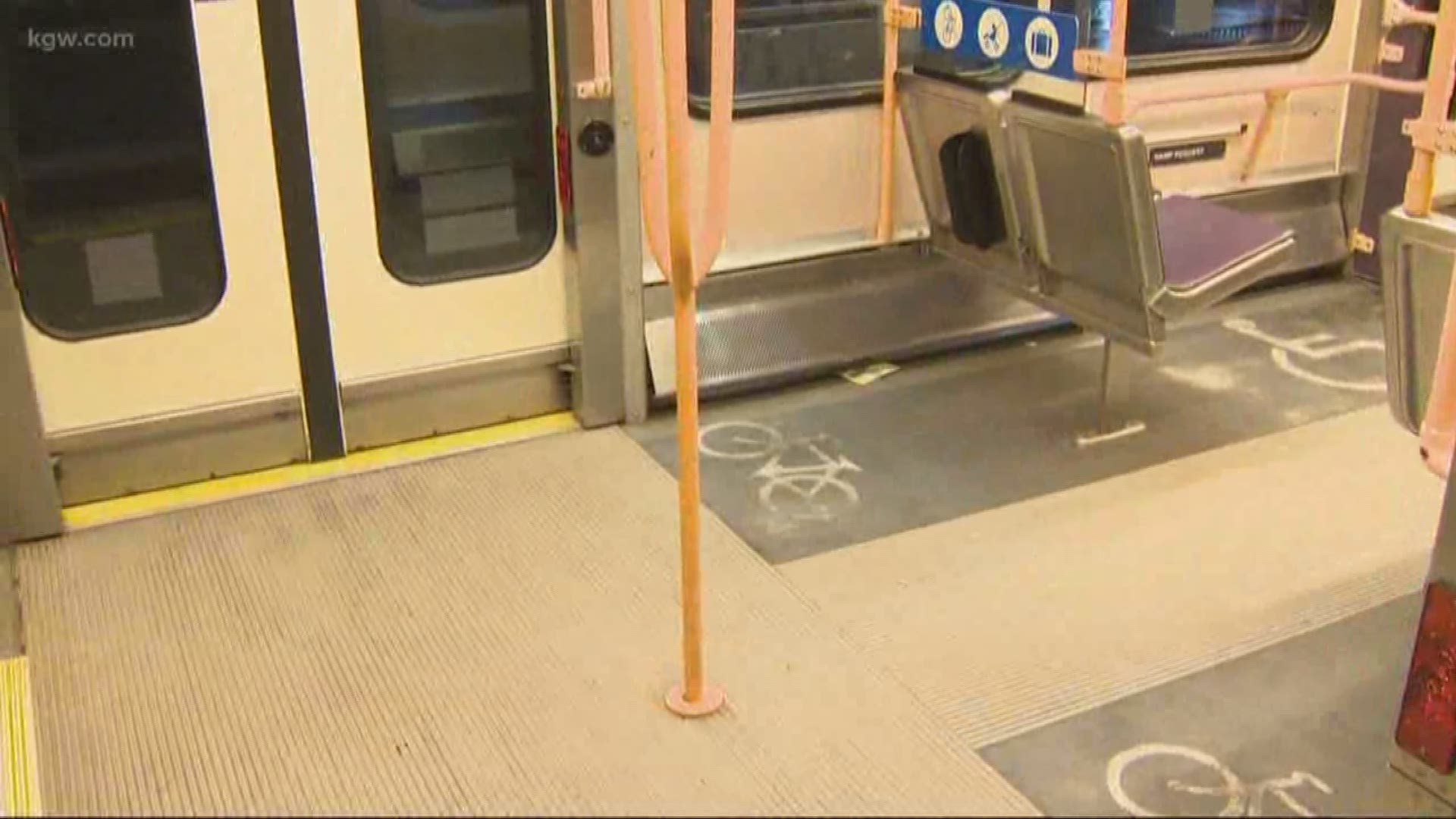 A father says his daughter was pricked by a needle while riding the TriMet MAX train.