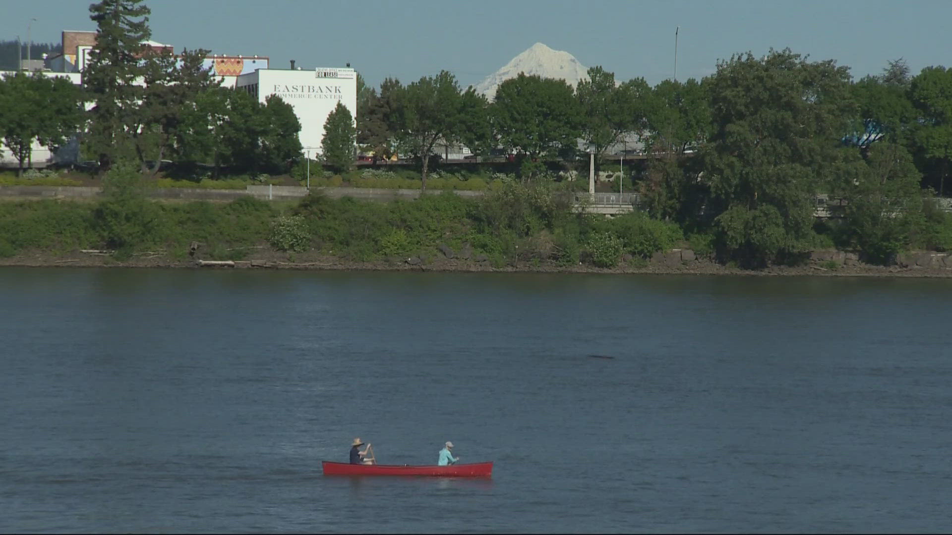 As downtown Portland hit 90 degrees, many were eager to hit the outdoors, with three water rescues in the span of Friday evening.