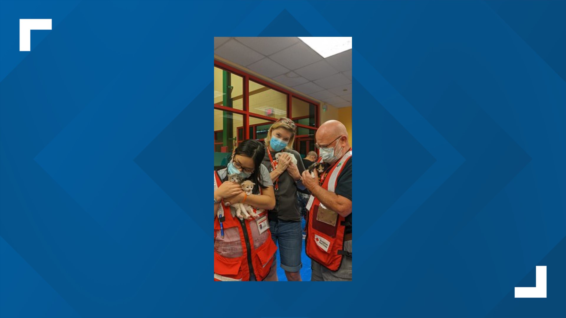Red Cross Cascades need help in Hurricane Ian aftermath | kgw.com