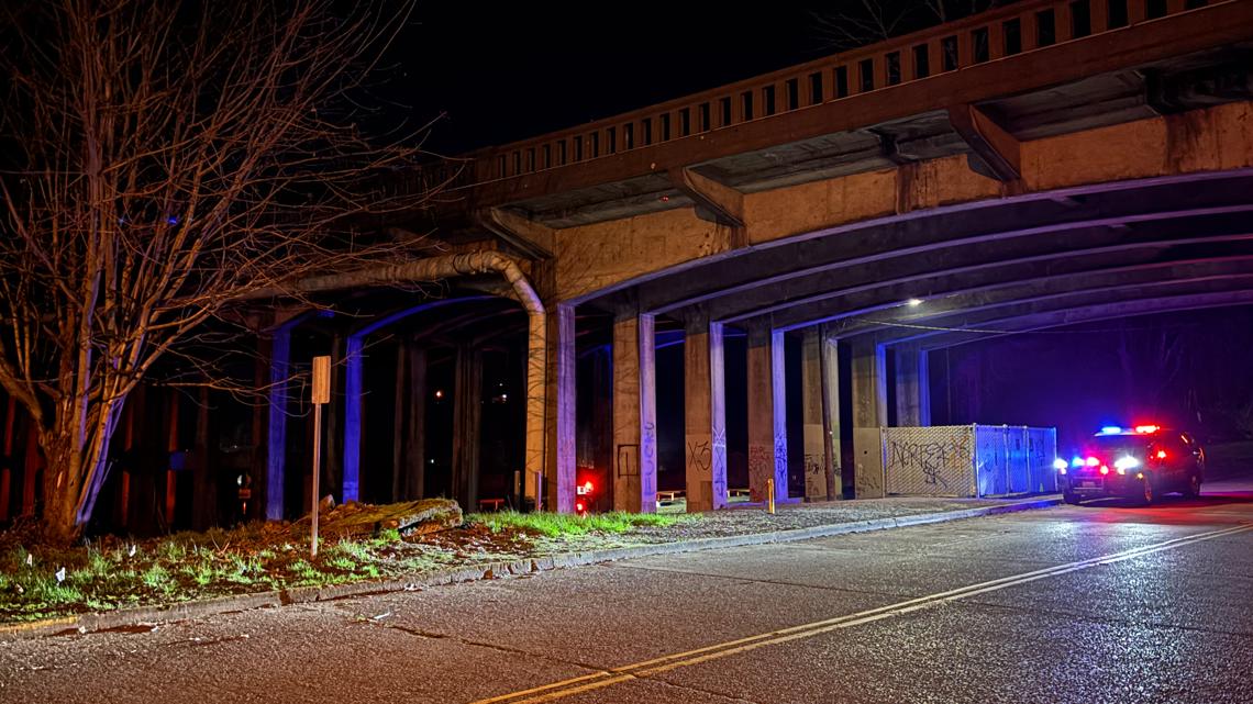 Police: Man fatally struck by Amtrak train in Kelso | kgw.com