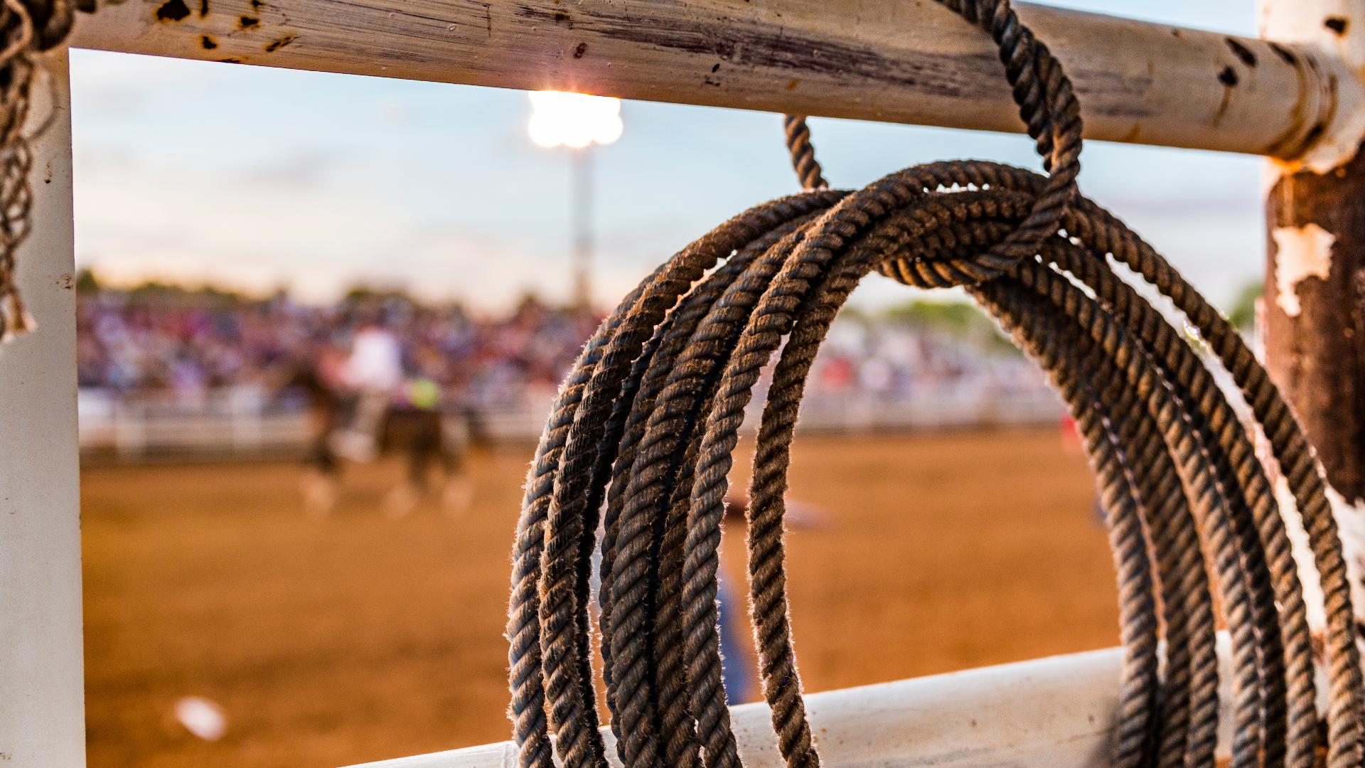 Danielle Smithers was among the rodeo fans with her cellphone flashlight on as the bull named Party Bus was moving around the ring with two riders on horseback.