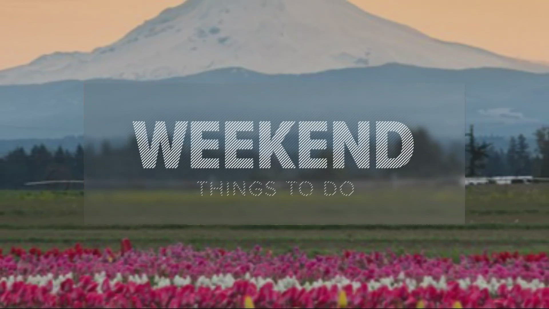 Here's what's happening around Portland this weekend: Juneteenth festivities, the start of Beer Week, Lake Oswego Festival of the Arts, BEYONCÉ dance party and more.