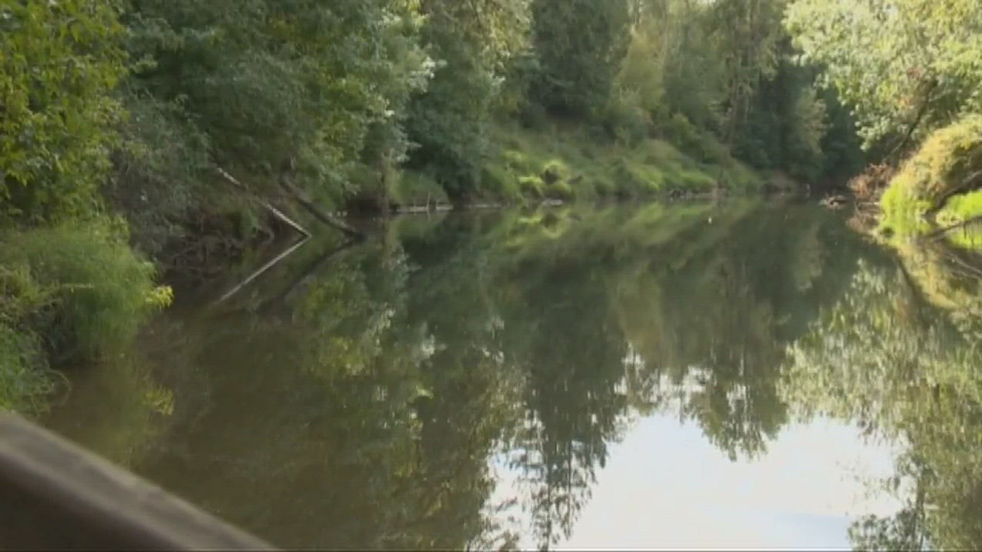 Conservation group buys 286 acres along Tualatin River