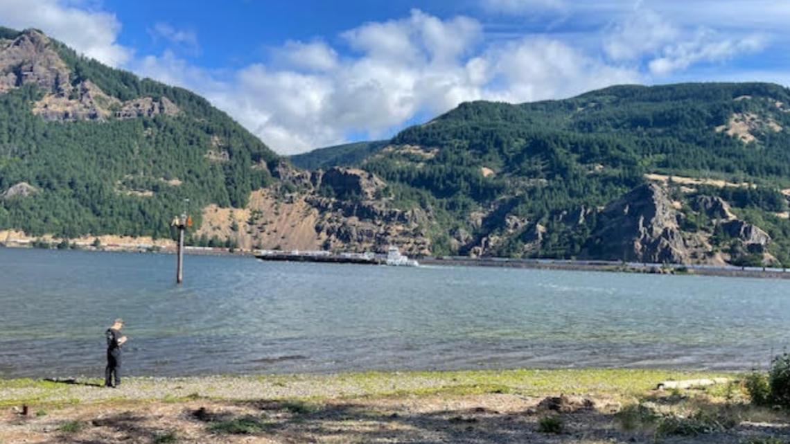 40-Year-Old Woman Drowns Paddleboarding Columbia River Viento State Park