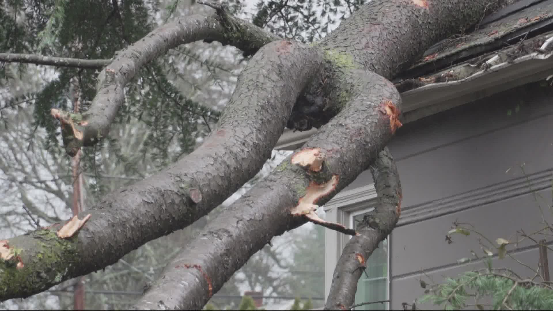 Home insurance agencies have begun to receive claims from Oregon homeowners after back to back storms that caused pipes to burst and trees to fall down.