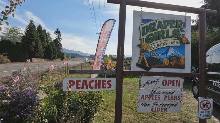 Apple farm in Hood River County making ends meet after unpredictable spring