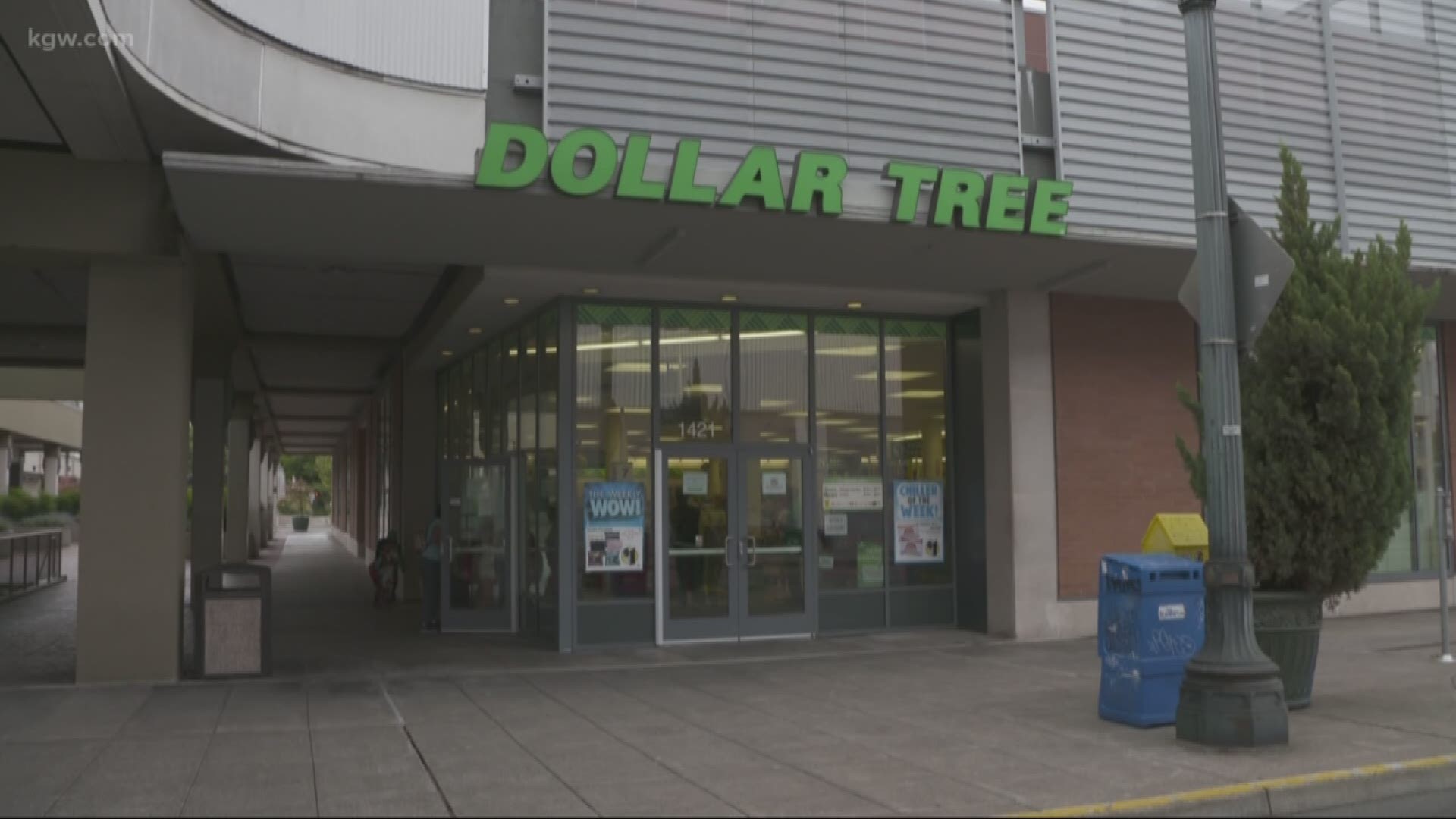 Dollar Tree is facing a fine from the state of Oregon. A rodent infestation was discovered at a Portland store in August.