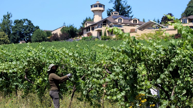 'The next Napa': Willamette Valley makes Time's list of 'World's Greatest Places'