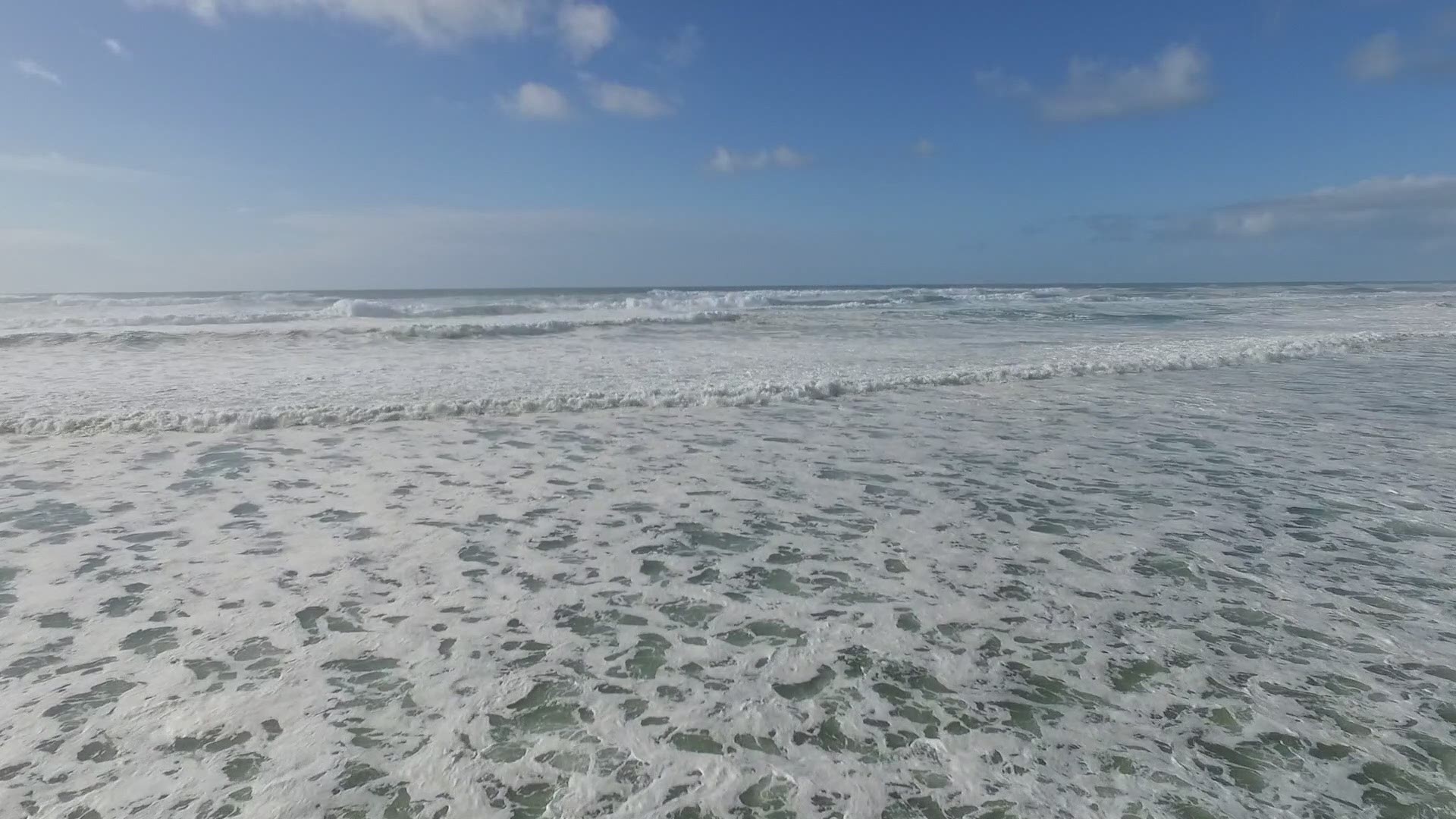 Grant takes us on a paddling adventure on the Nehalem River.