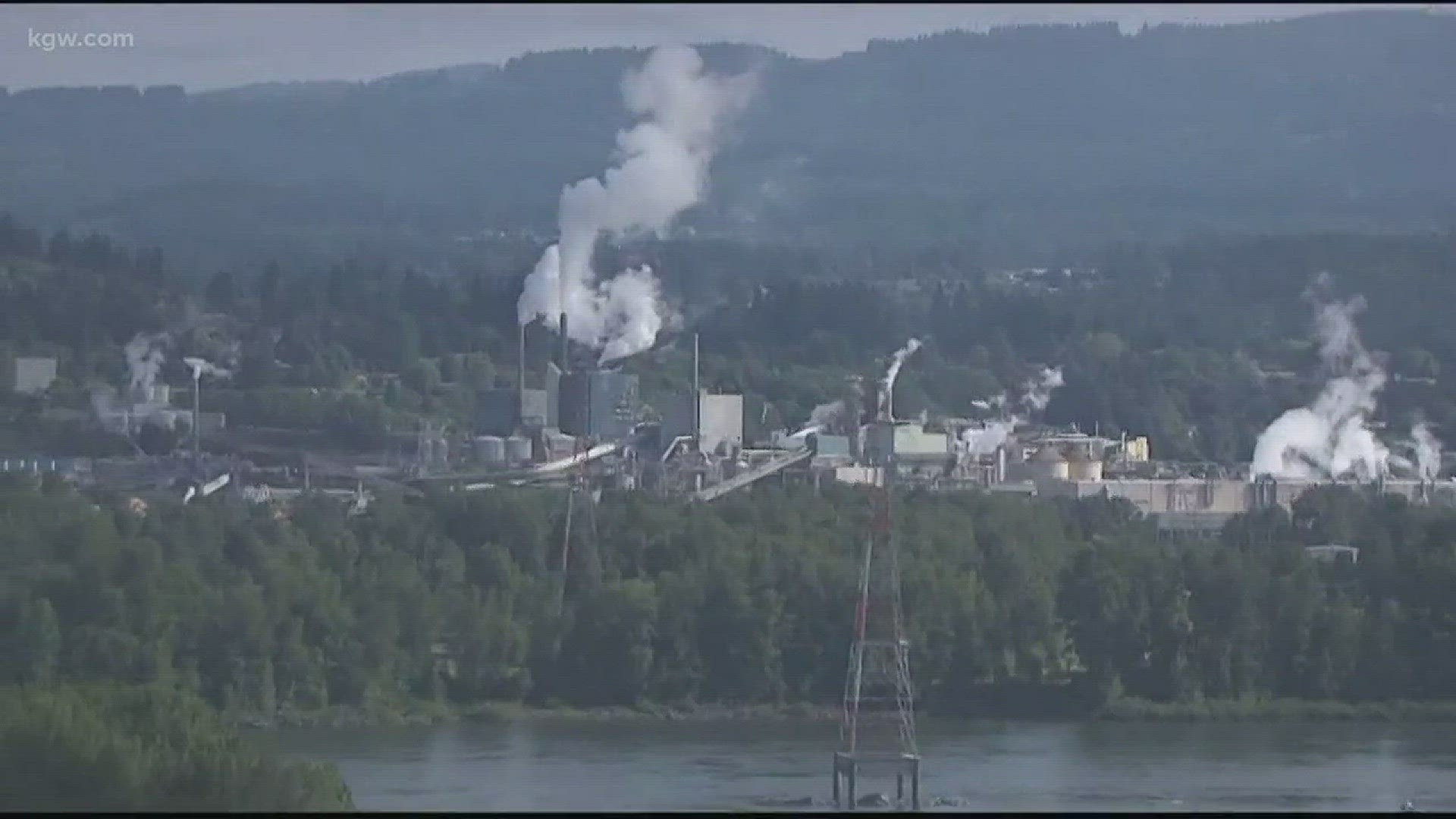 Paper mill to cut up to 300 jobs