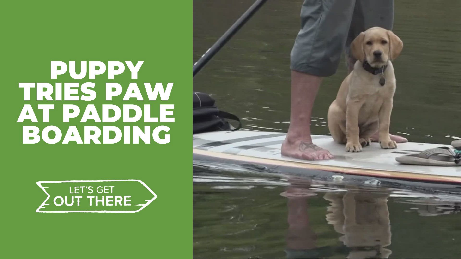 A Vancouver man who paddled the Columbia River for 365 days in a row is now bringing along his three-month-old yellow Lab for future rides. 