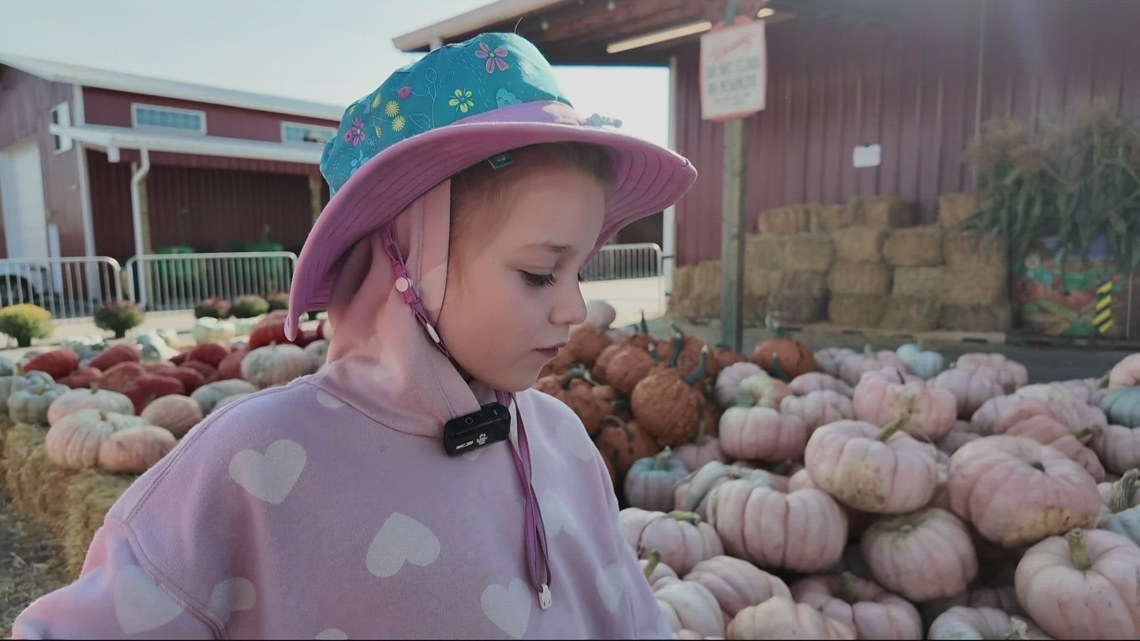 Multiple US Regions Host Seasonal Pumpkin Patch Events with Family Activities