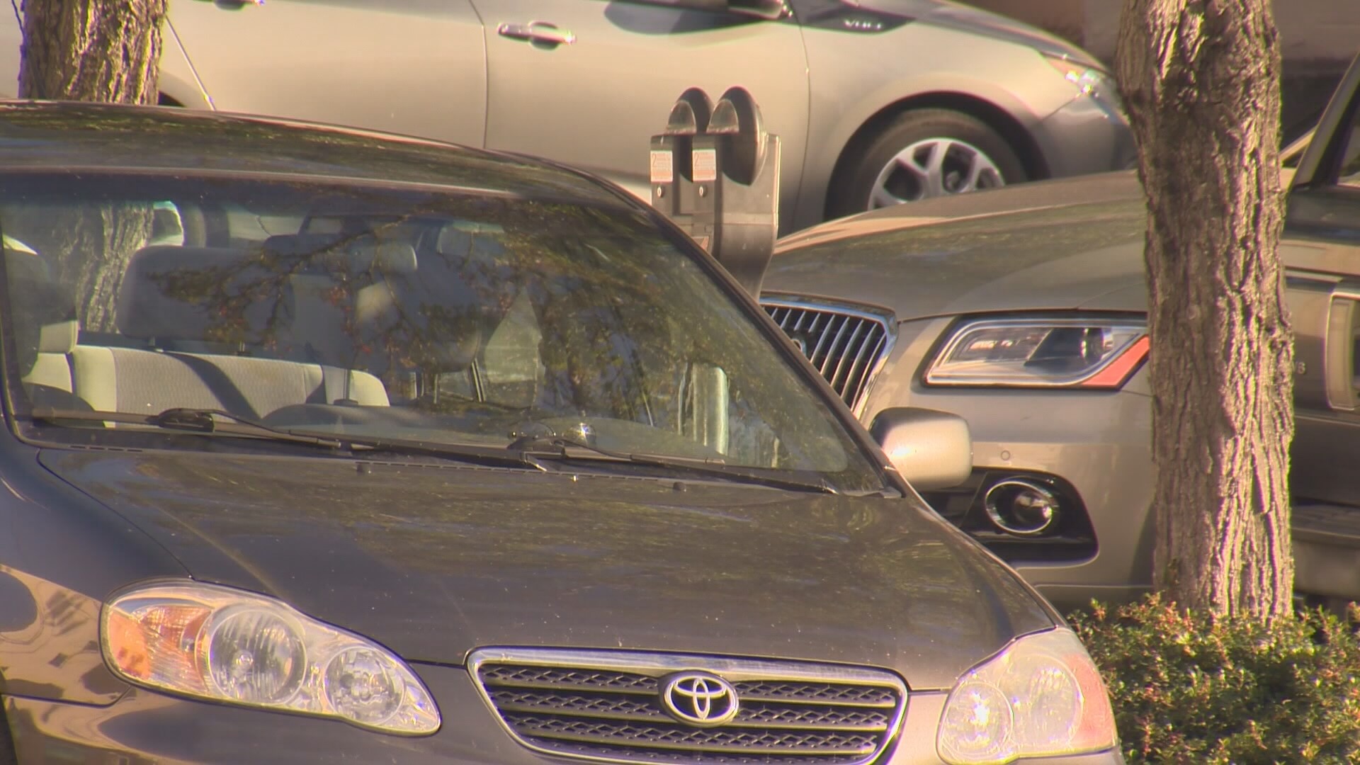 More than 400 cars have been stolen in Vancouver this year. Police said jail space is limited and theft is a low level crime, so thieves may be booked and released.