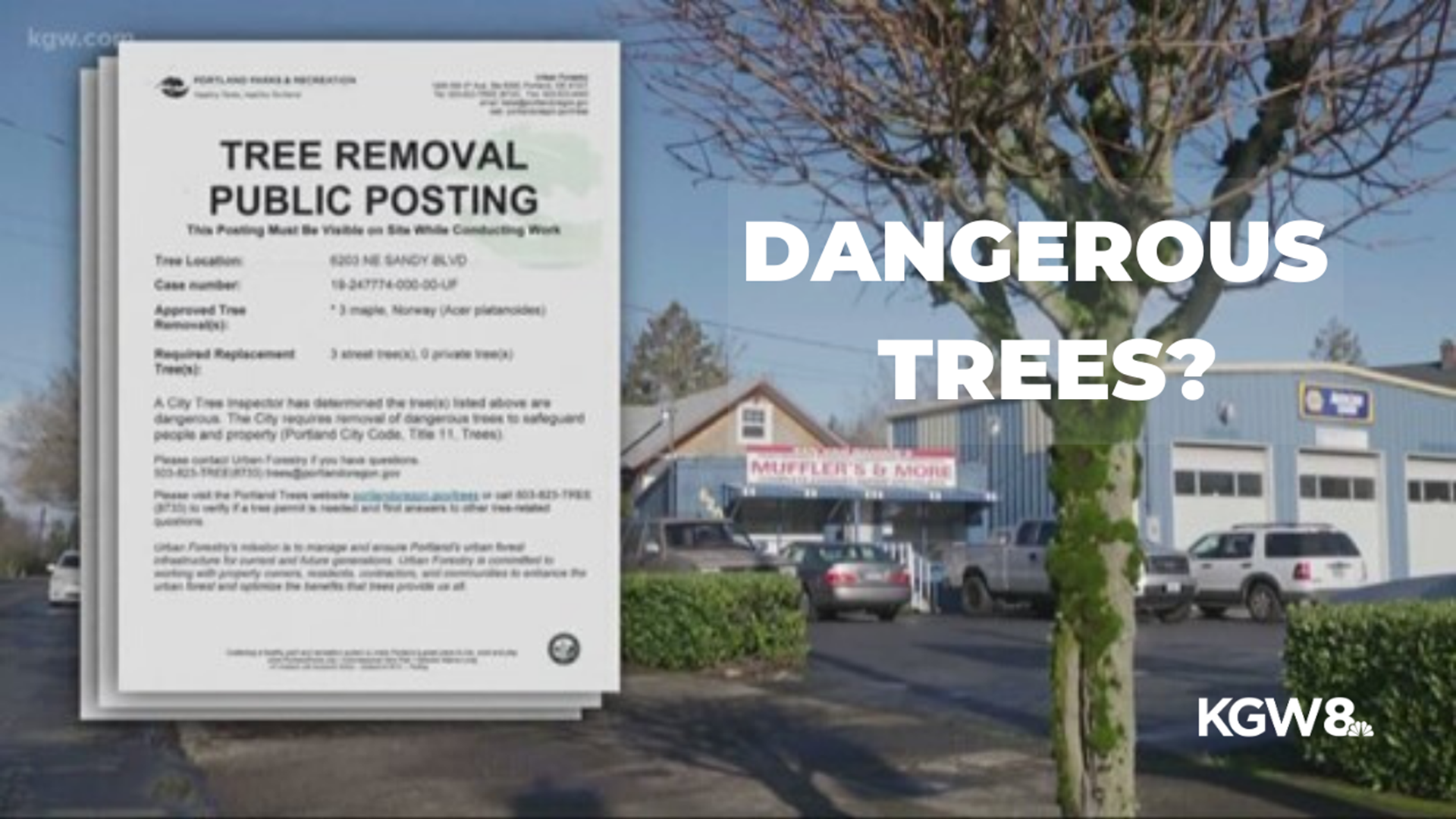 The city is demanding Ken Van Damme’s Automotive shop in Northeast Portland pay a fine, cut down trees, grind out the stumps and plant new trees.