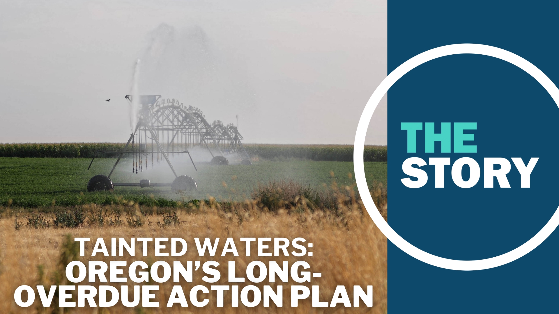 Residential wells supporting hundreds of eastern Oregon households are unusable due to unsafe nitrate levels in the water, the result of agricultural practices.