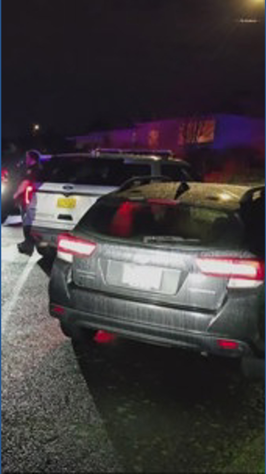 Driver arrested after fleeing police, crashing into patrol car in ...