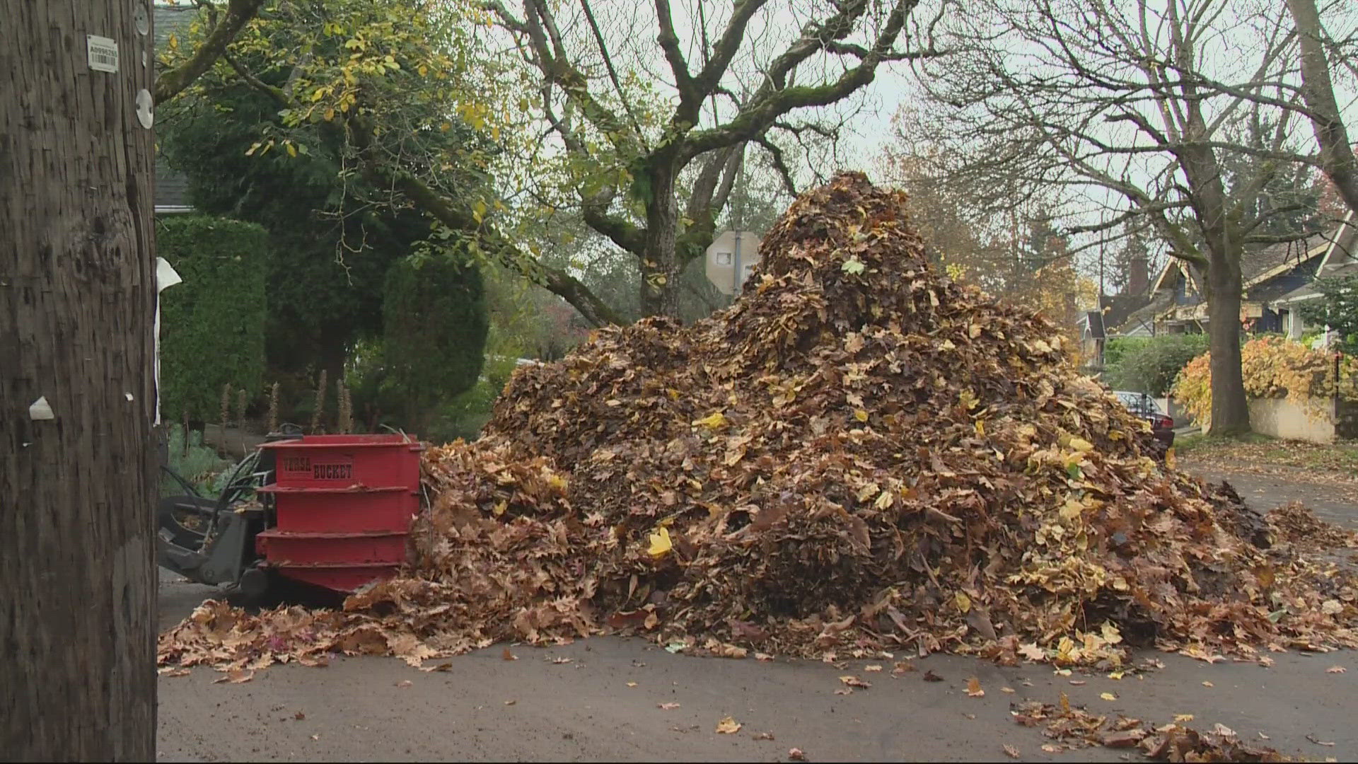 PBOT will be cleaning up leaves along major roads in the coming weeks and will posts signs on blocks that need to be free of cars for the operation.