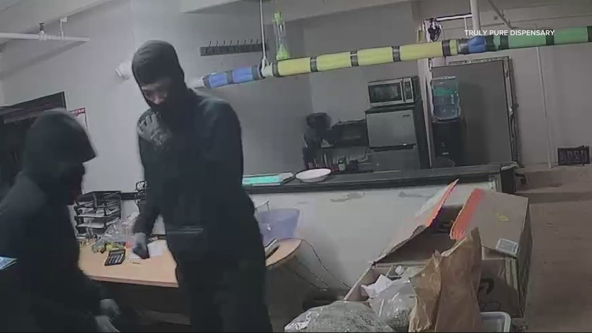 An employee at Truly Pure Dispensary on Southeast Grand Avenue suffered a broken nose and possible concussion after four masked robbers took over the store.