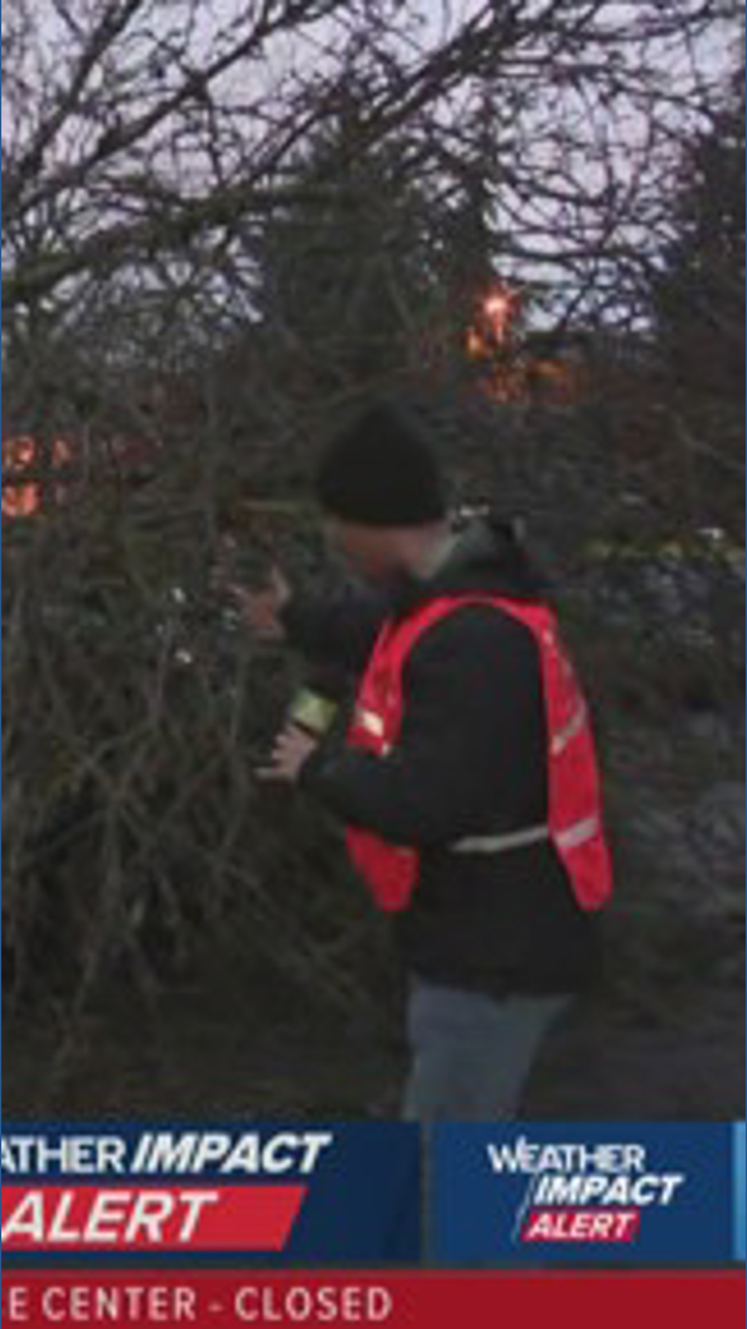Severe weather brings down trees, knocks out power to thousands of ...